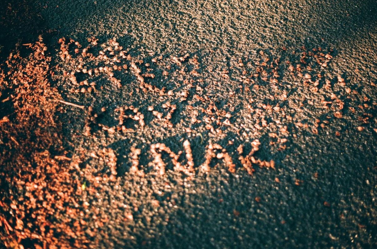 Detail díla