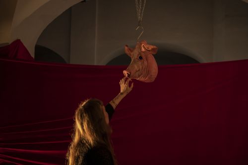 Piggy Games