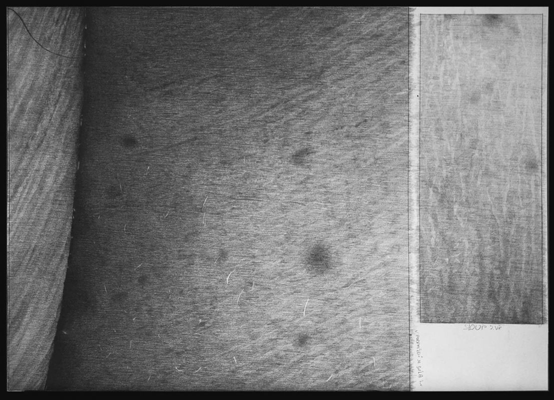 Detail díla