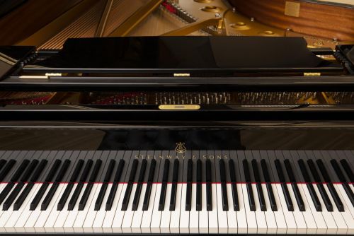 F. Liszt: Sonata b minor